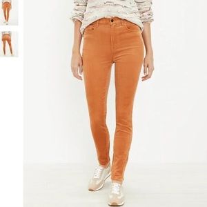 LOFT Petite High Rise Skinny Corduroy Pants - NWT